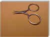 507 scissor sprite.jpg (16830 bytes)